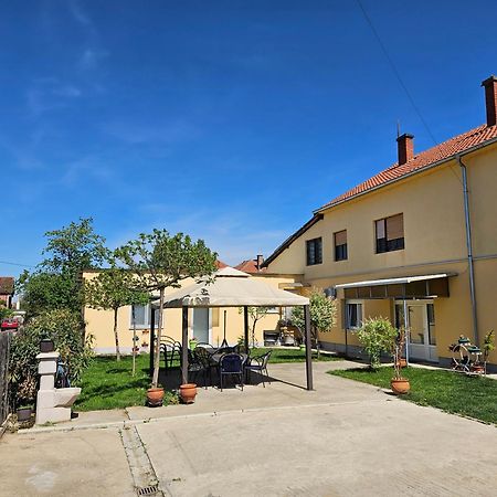Apartments Kuca Aleksic Ni Buitenkant foto