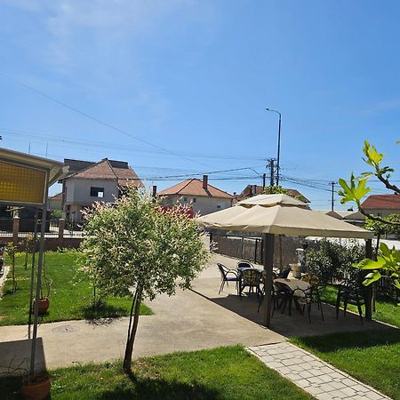 Apartments Kuca Aleksic Ni Buitenkant foto