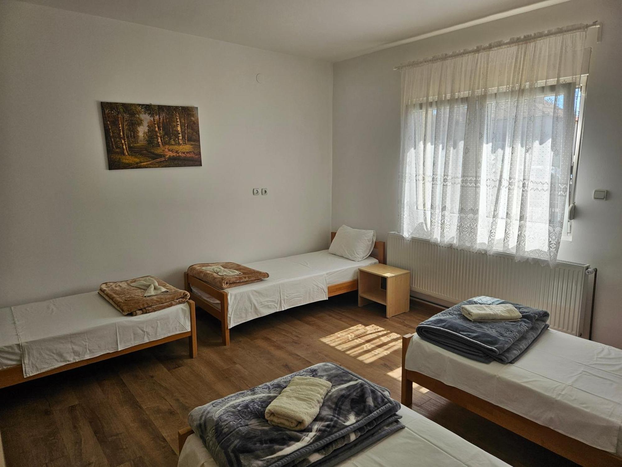 Apartments Kuca Aleksic Ni Buitenkant foto
